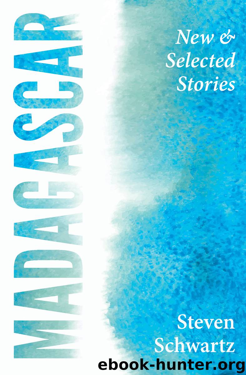 Madagascar by Steven Schwartz