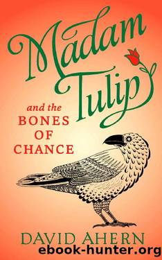 Madam Tulip and the Bones of Chance: (A Madam Tulip mystery - Book 3) by David Ahern