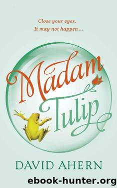 Madam Tulip: (A Madam Tulip mystery - Book 1) by David Ahern