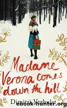 Madame Verona Comes Down the Hill by Dimitri Verhulst