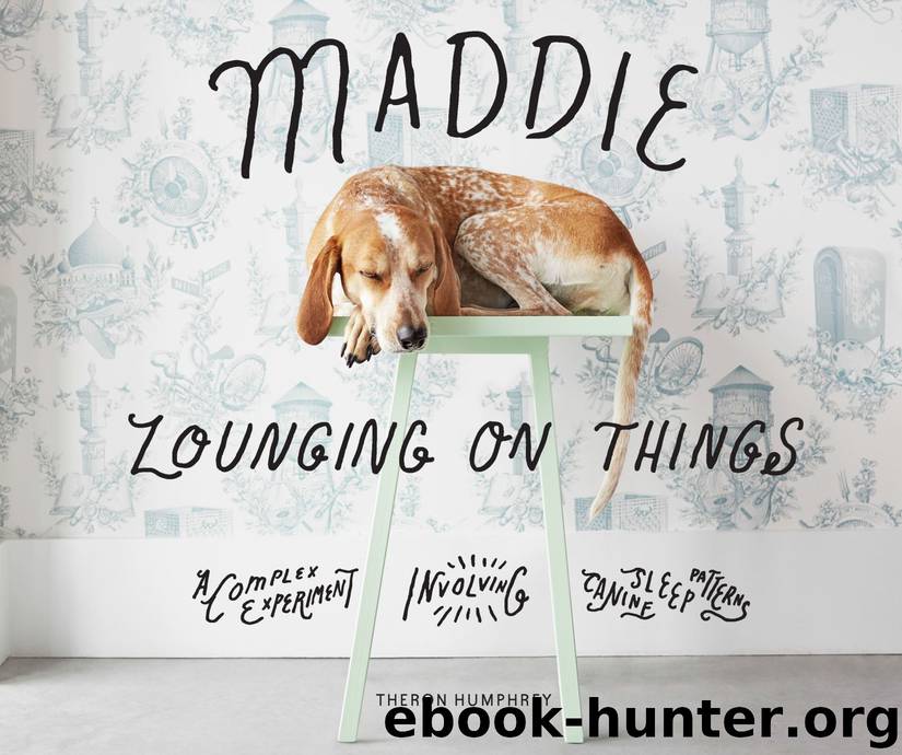 Maddie Lounging On Things: A Complex Experiment Involving Canine Sleep Patterns by Theron Humphrey