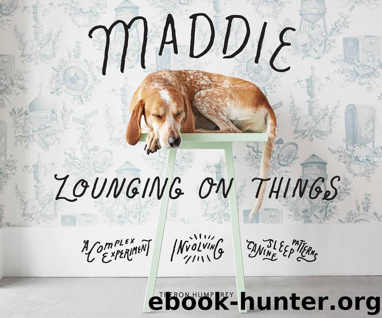 Maddie Lounging on Things by Theron Humphrey