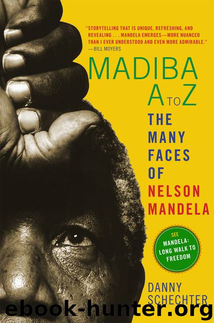 Madiba a to Z by Danny Schechter
