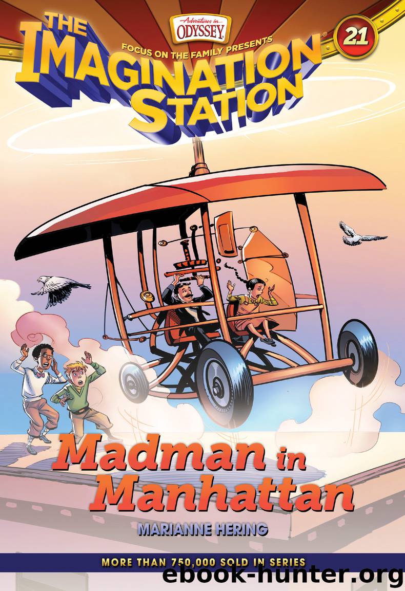 Madman in Manhattan by Marianne Hering