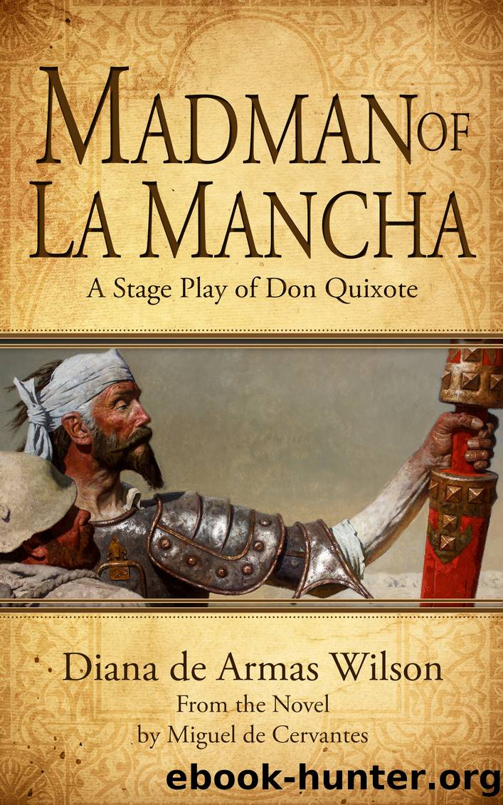 Madman of La Mancha by Diana de Armas Wilson