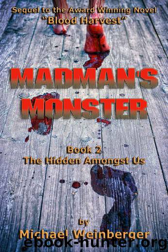 Madman's Monster, Book 2: The Hidden Amongst Us by Michael Weinberger