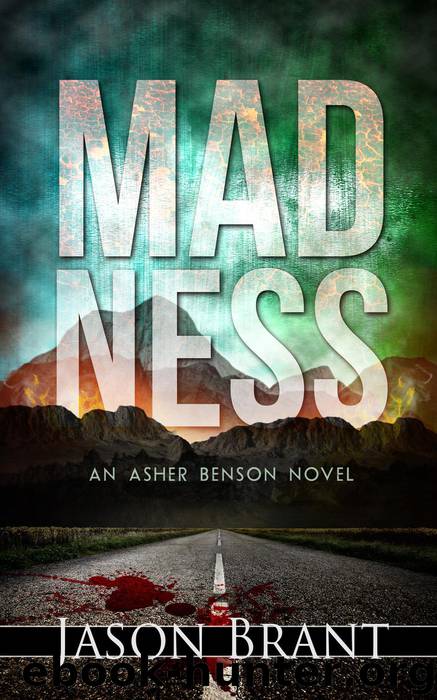 Madness (Asher Benson #2) by Jason Brant