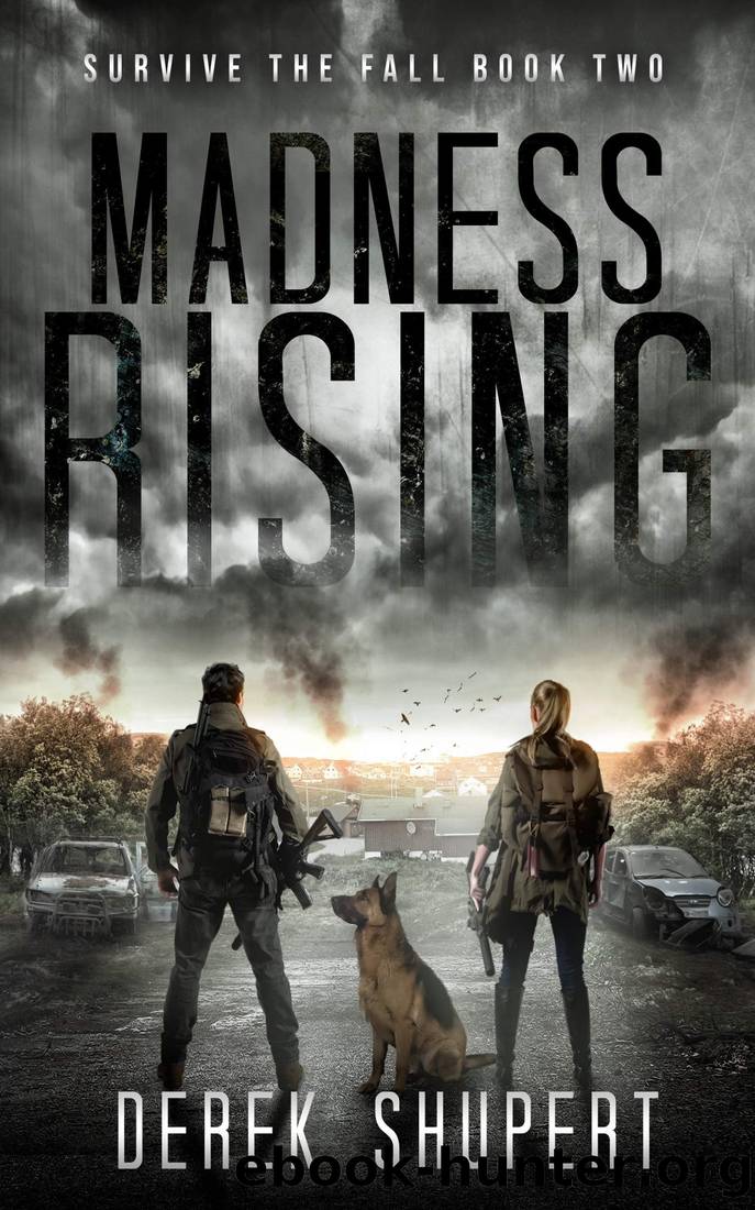 Madness Rising by Shupert Derek