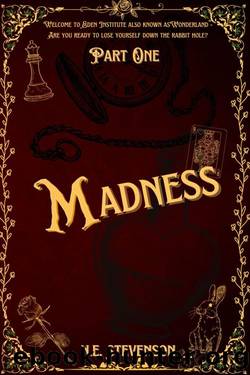 Madness by N.E. Stevenson