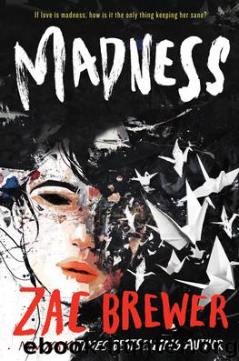 Madness by Zac Brewer