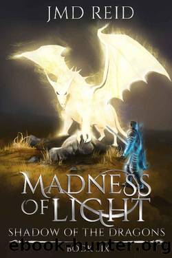 Madness of Light (Shadow of the Dragons Book 6) by JMD Reid