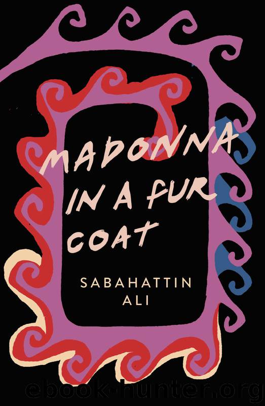 Madonna in a Fur Coat (Penguin Modern Classics) by Sabahattin Ali