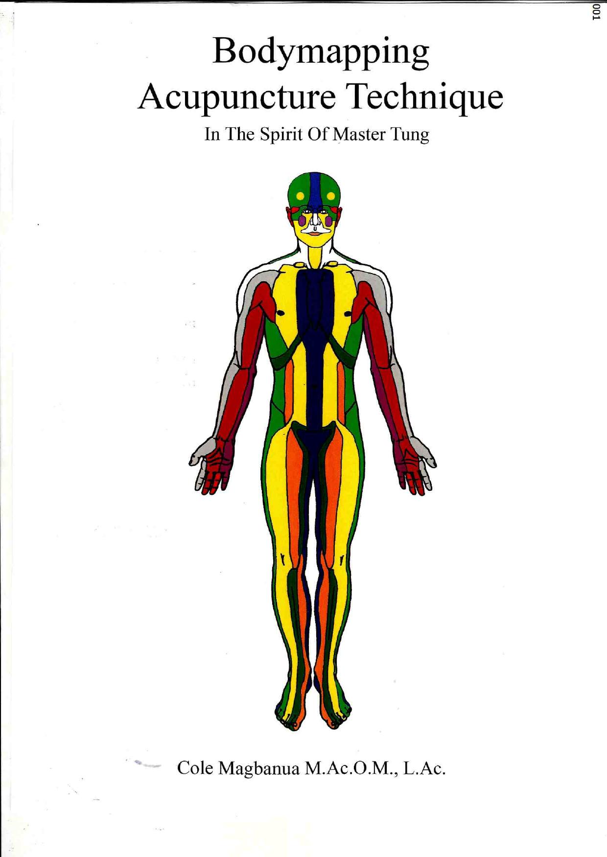 Magbanua, Cole; Thompson, Kim by Bodymapping Acupuncture Technique. In the spirit of Master Tung (2016)
