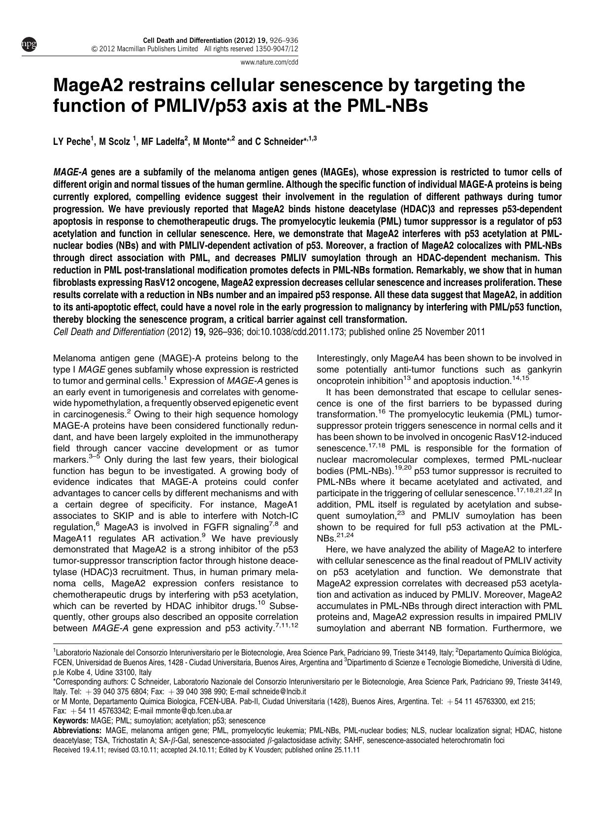 MageA2 restrains cellular senescence by targeting the function of PMLIV&sol;p53 axis at the PML-NBs by L Y Peche & M Scolz & M F Ladelfa & M Monte & C Schneider &