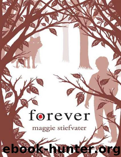Maggie Stiefvater - 3 Forever by Maggie Stiefvater