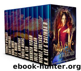 Magic Awakened: A Paranormal Romance Boxed Set by K.N. Lee & Calinda B. & Nicole Zoltack & Julie Morgan & Shereen Vedam & D.N. Leo & Tricia Owens & J.A. Armitage & T.F. Walsh & Kara James & Tierney O'Malley & Cait Reynolds