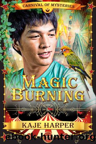 Magic Burning: Carnival of Mysteries by Kaje Harper