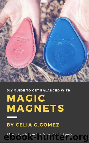 Magic Magnets : DIY guide to get balanced with the Magic Magnets by García Gómez Celia