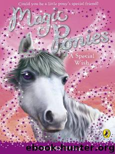 Magic Ponies: A Special Wish by Sue Bentley