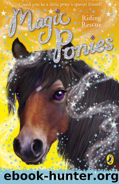 Magic Ponies: Riding Rescue by Sue Bentley & Angela Swan