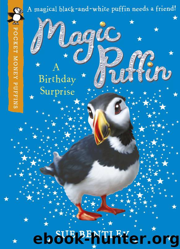 Magic Puffin: a Birthday Surprise (Pocket Money Puffin) by Sue Bentley & Angela Swan