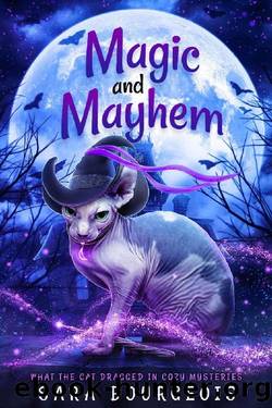 Magic and Mayhem by Sara Bourgeois
