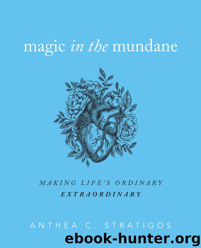 Magic in the Mundane by Anthea C. Stratigos