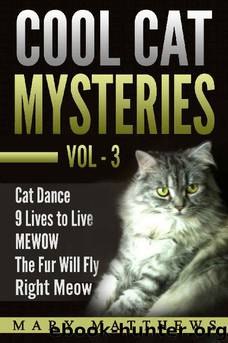 Magical Cool Cat Mysteries Boxed Set Volume 3 (Magical Cool Cats Mysteries) by Mary Matthews