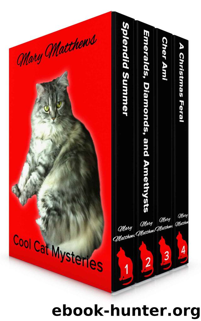 Magical Cool Cats Mysteries Boxed Set Vol 1 (Books 1, 2 & 3 & A Christmas Feral) by Mary Matthews