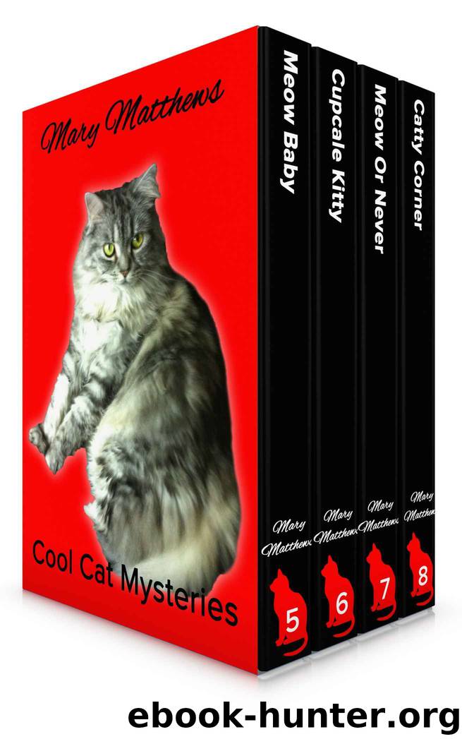 Magical Cool Cats Mysteries Boxed Set Vol 2(Books 4,5,6 & 7) by Mary Matthews