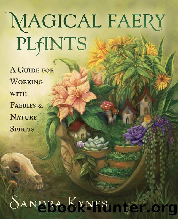Magical Faery Plants by Sandra Kynes