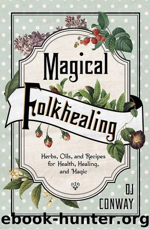 Magical Folkhealing by D.J. Conway