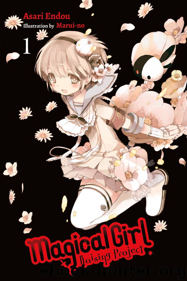 Magical Girl Raising Project, Vol. 1 by Asari Endou