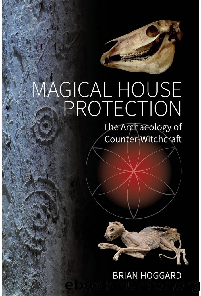 Magical House Protection by Brian Hoggard;