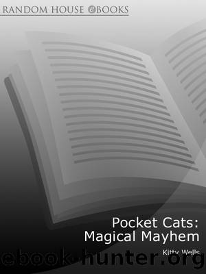 Magical Mayhem by Kitty Wells