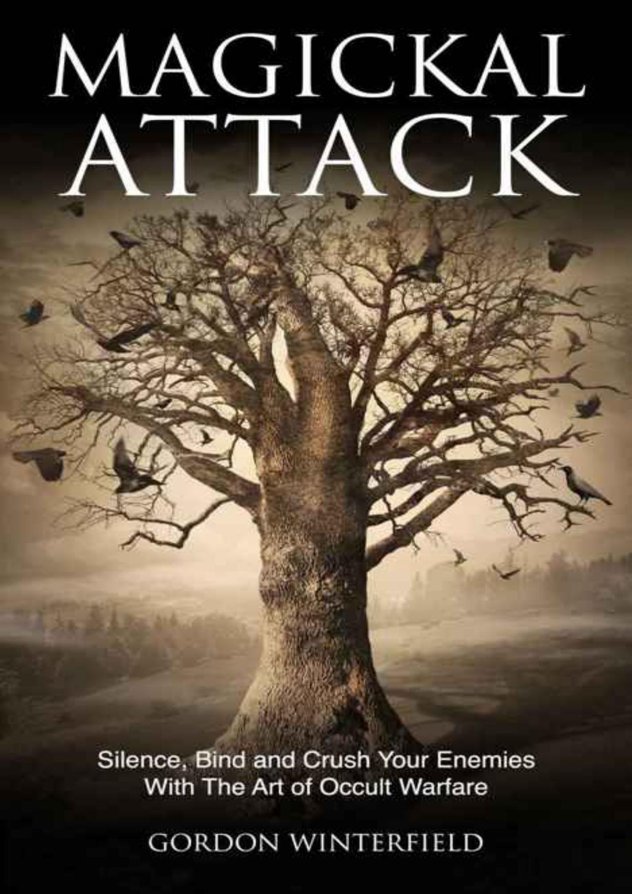 Magickal Attack: Silence, Bind and Crush Your Enemies With The Art of Occult Warfare by Gordon Winterfield