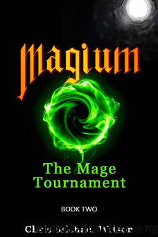 Magium by Chris Michael Wilson