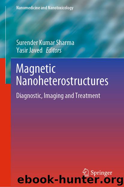 Magnetic Nanoheterostructures by Surender Kumar Sharma & Yasir Javed