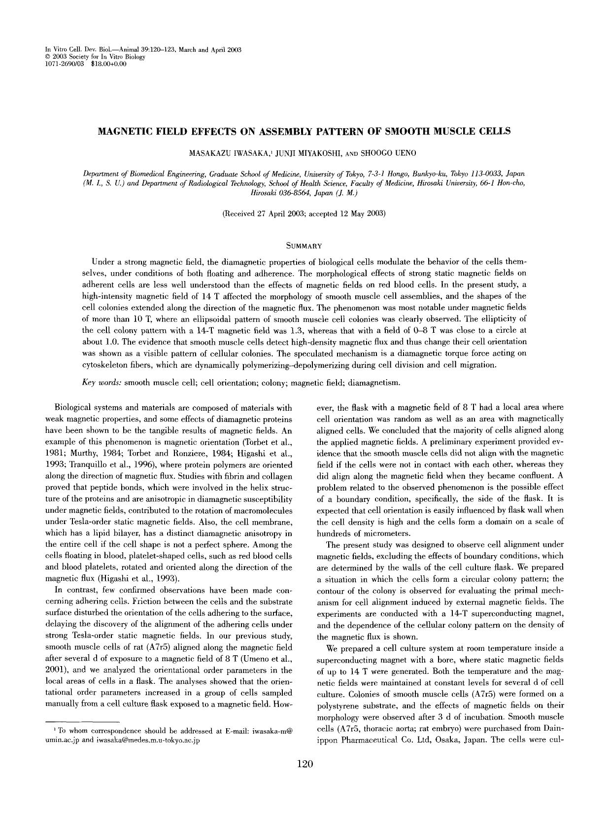 Magnetic field effects on assembly pattern of smooth muscle cells by Unknown
