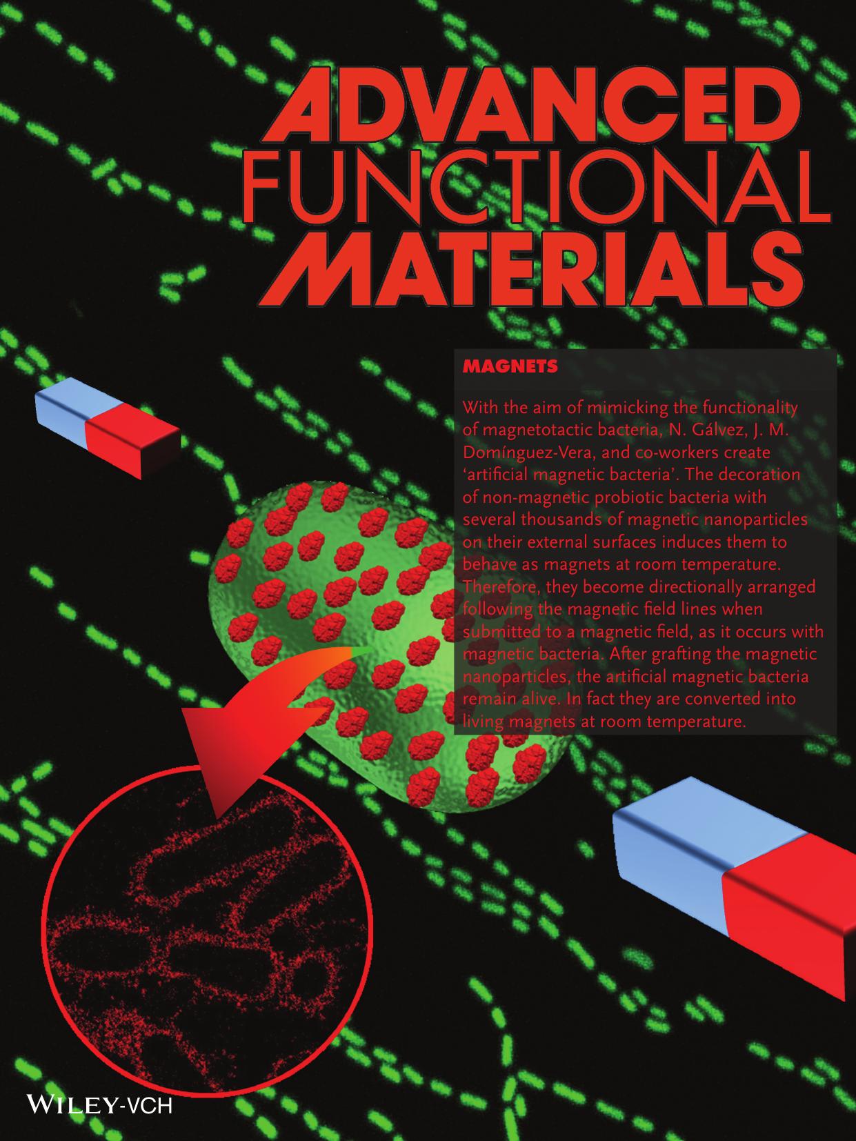 Magnets: Artificial Magnetic Bacteria: Living Magnets at Room Temperature (Adv. Funct. Mater. 232014) by Unknown