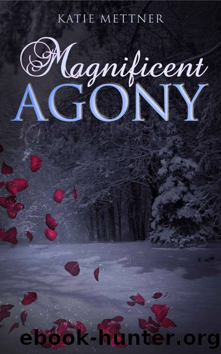 Magnificent Agony (Magnificent Series Book 1) by Katie Mettner
