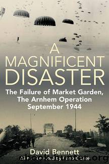 Magnificent Disaster by David Bennett