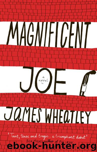 Magnificent Joe by James Wheatley