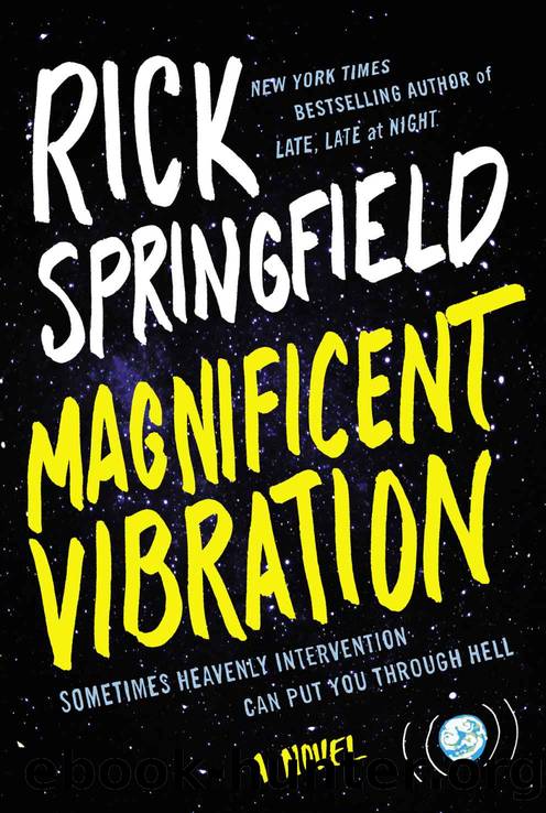 Magnificent Vibration A Novel by Rick Springfield