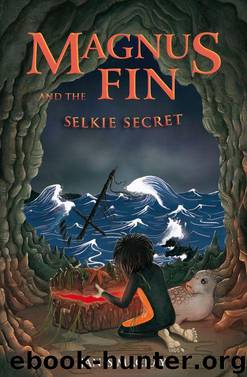 Magnus Fin and the Selkie Secret by Janis Mackay