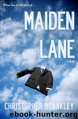 Maiden Lane by Christopher Blankley