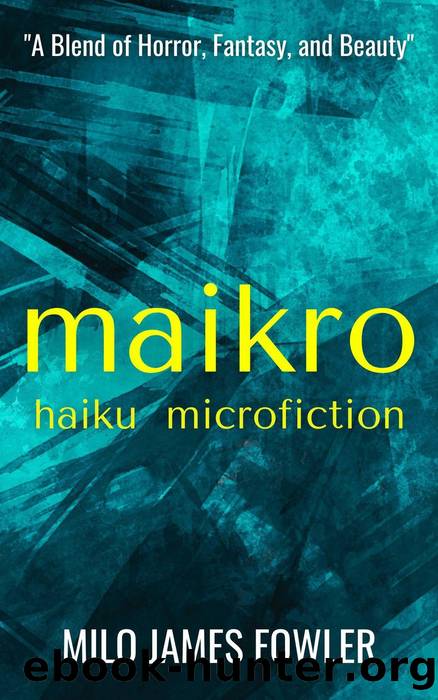 Maikro by Milo James Fowler