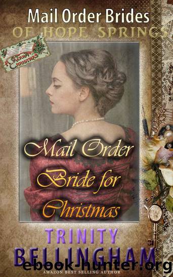 Mail Order Bride for Christmas by Trinity Bellingham