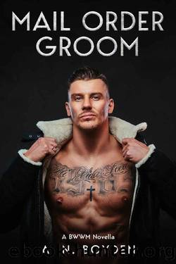 Mail Order Groom: A BWWM Novella by A. N. Boyden