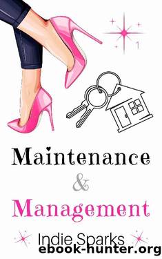 Maintenance & Management (Naughty at the Nouveau) by Indie Sparks